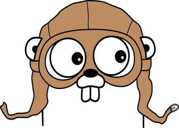 #10 - Somos todos Gophers!